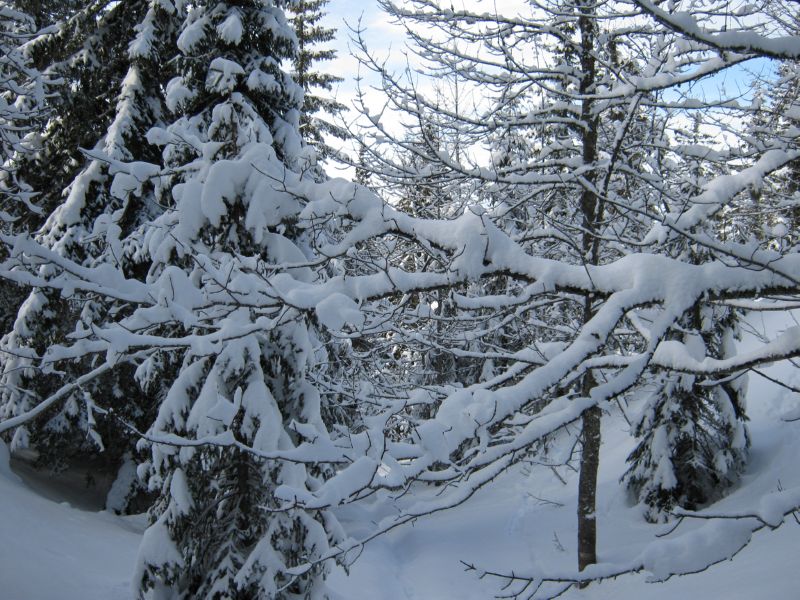 2010-02-21 Pela (09) beautiful snow everywhere